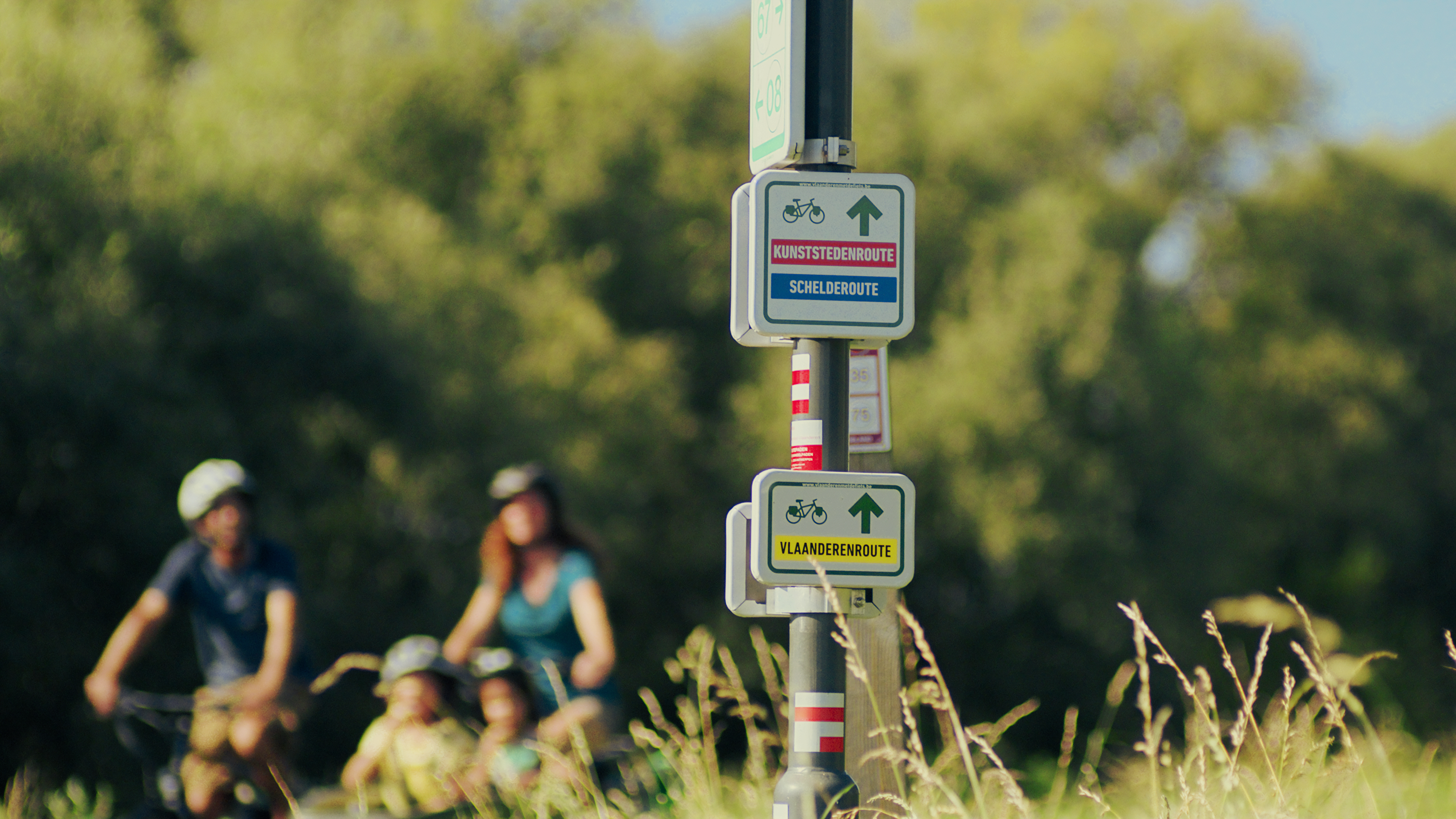 Fietsen in Vlaanderen _ icoonroutes