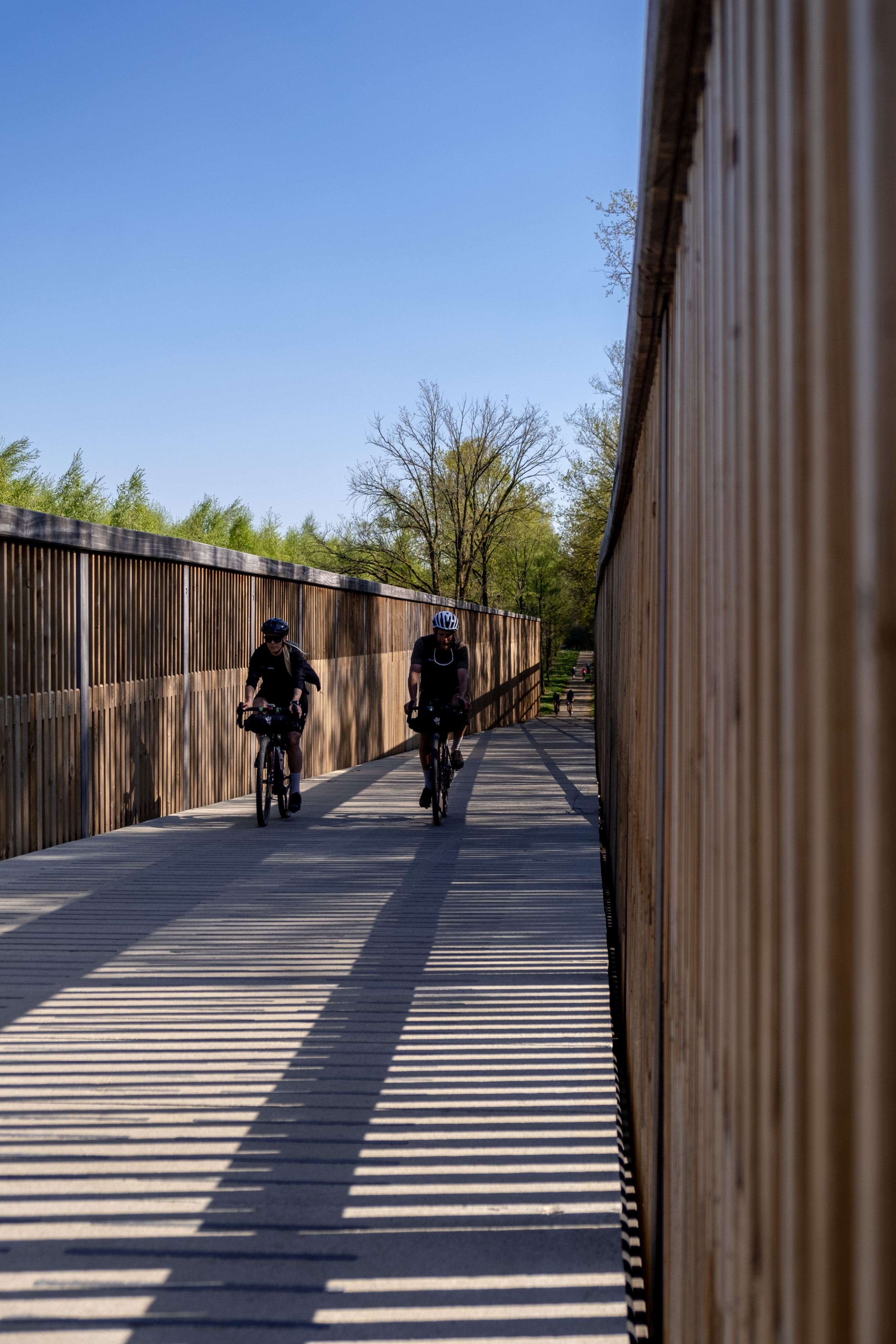 Fietsen door de heide  © Enough Cycling