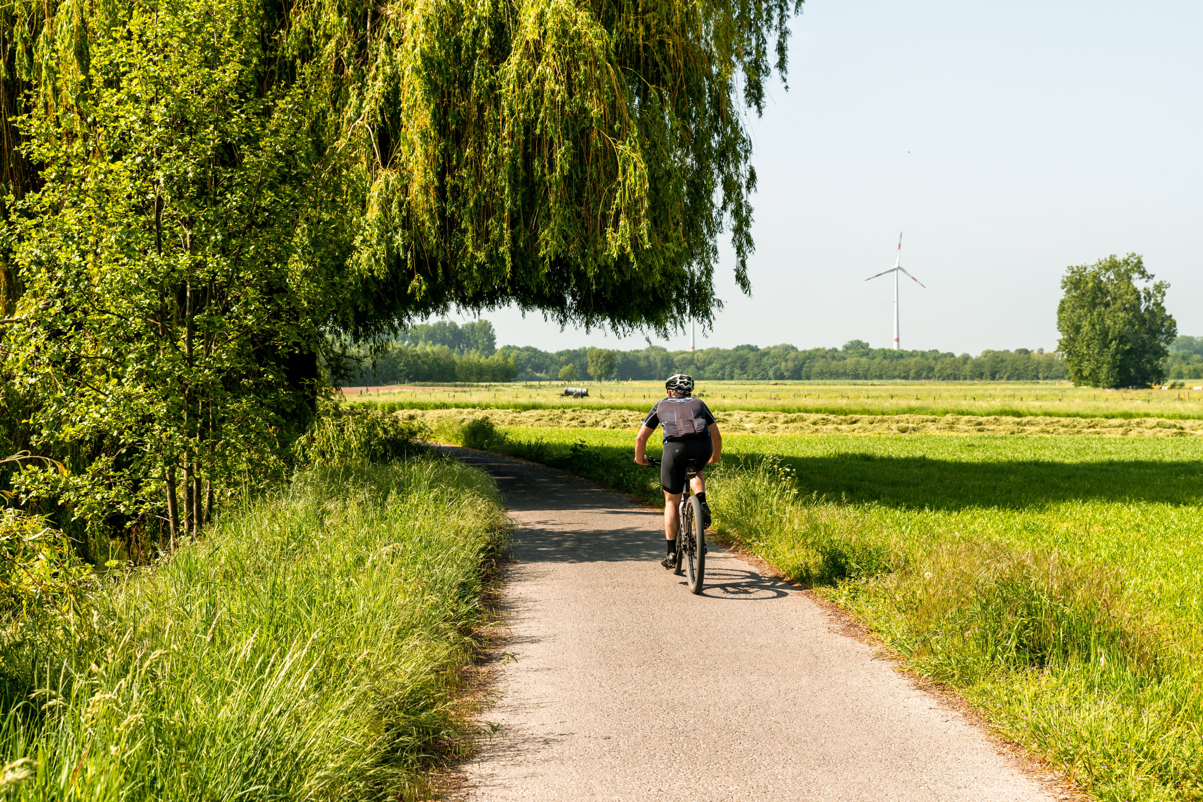 West-Vlaamse Scheldemeersen